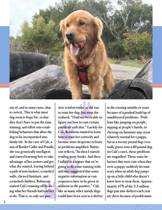 Article by Soren Robinson